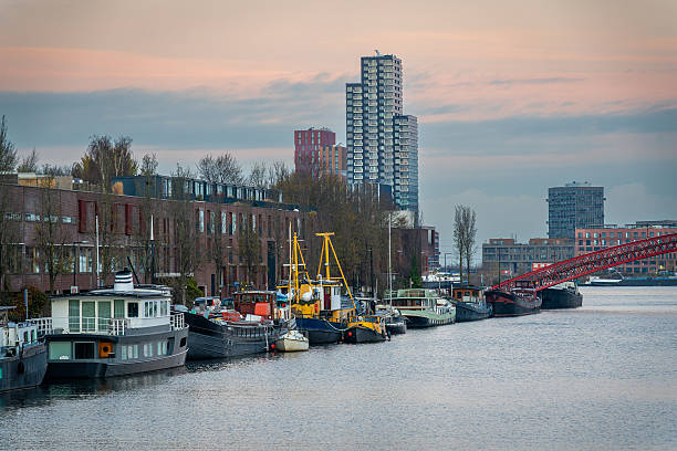 istockphoto-2252430482-612x612.jpg